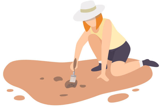 illustrazioni stock, clip art, cartoni animati e icone di tendenza di archeologa donna seduta a terra e spazzare lo sporco dalle crocks ceramiche usando pennello, personaggio scienziato paleontologico che lavora sugli scavi con artefatti storici illustrazione vettoriale piatta - paleontologo