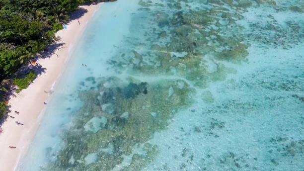 istock Overhead aerial view of Anse Source D'Argent, La Digue - Seychelles 1174933962