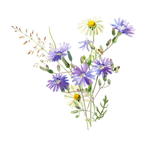 a small bouquet of watercolor blue flowers - small bouquet imagens e fotografias de stock
