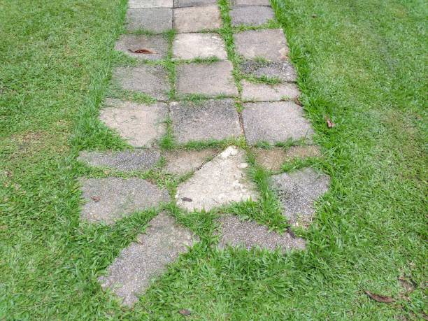 istock cement plate on green grass in nature garden 1174936351