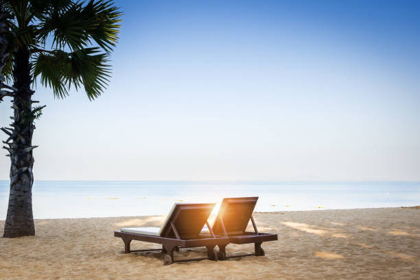 istock Palm trees and the sunbeds 1174937335