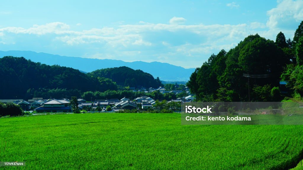 Inabuchi Rice terraces, Asuka, Nara, Japan Agricultural Field Stock Photo Inabuchi Rice terraces, Asuka, Nara, Japan Agricultural Field Stock Photo