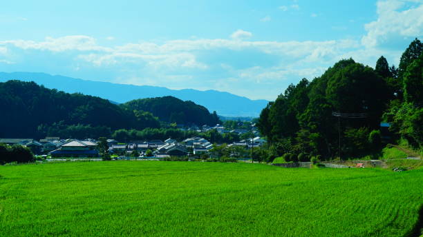 istock Inabuchi Rice terraces, Asuka, Nara, Japan 1174937660