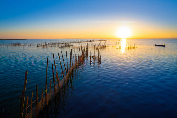 Valencia albufera lake at evening sunset with boat and canes in Spain