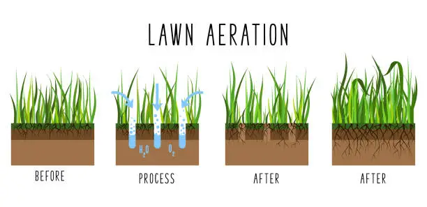 Vector illustration of Lawn Care Vector