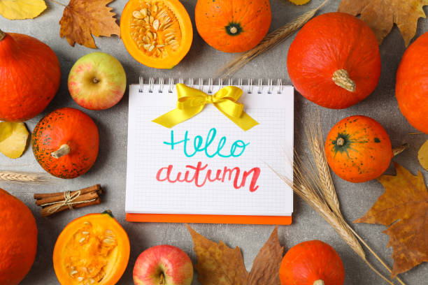 istock Composition with pumpkins and copybook on grey background, top view 1174943778