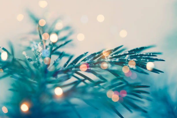 istock Pine tree background for Christmas Decoration with defocused lights 1174944881
