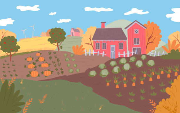 illustrations, cliparts, dessins animés et icônes de paysage de ferme d'automne. cultures de plein champ, nature, saison des récoltes. - farm pumpkin autumn farmer