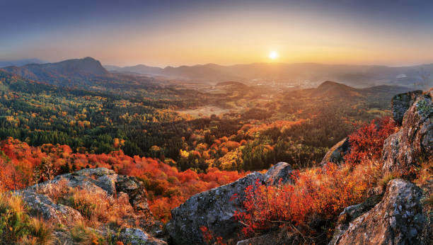 istock Mountain autumn landscape with colorful forest 1174946487