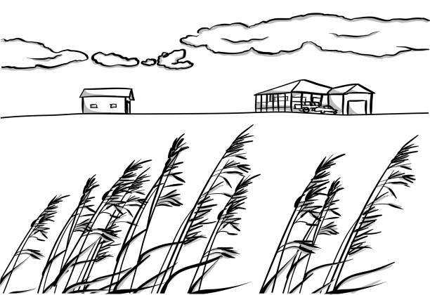 ilustrações, clipart, desenhos animados e ícones de casa canadense da exploração agrícola - acreage