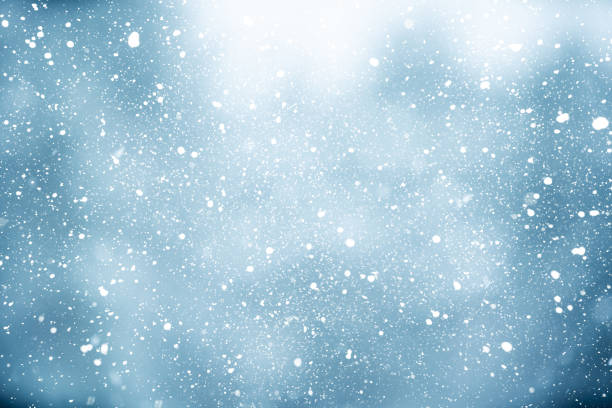istock Winter scene - snowfall on the blurred forest background 1174948229
