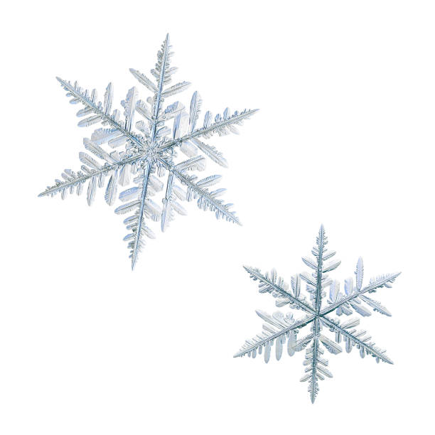 istock Two snowflakes isolated on white background 1174949255