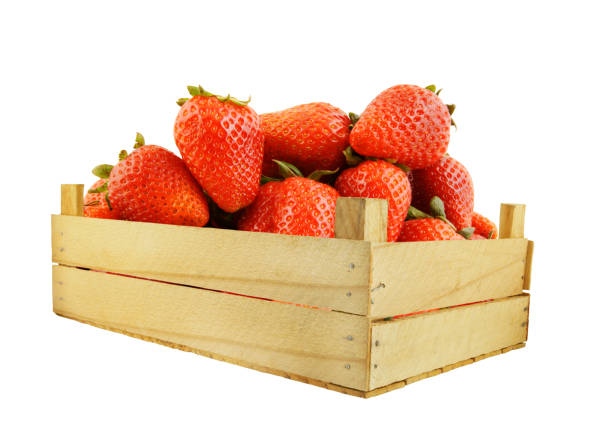 istock Strawberries in wooden box isolated 1174950387