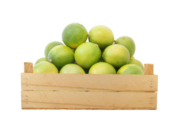 istock Limes in wooden box isolated on white 1174950519