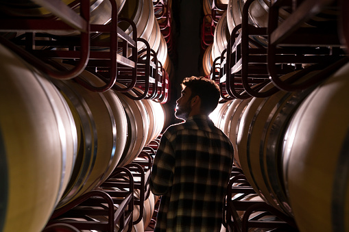 Winemaker checking oak barrels at cellar