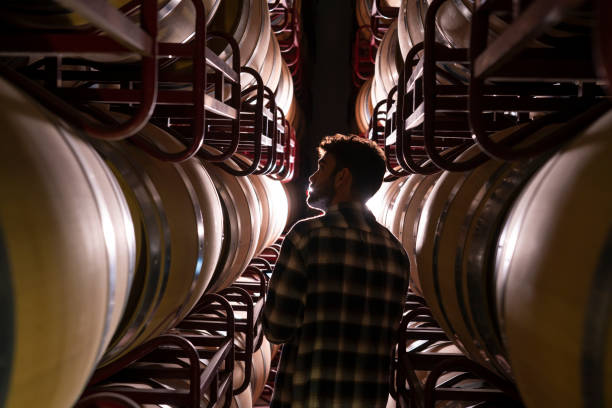 Winemaker checking oak barrels at cellar Winemaker checking oak barrels in a dark cellar winery man wearing a barrel stock pictures, royalty-free photos & images