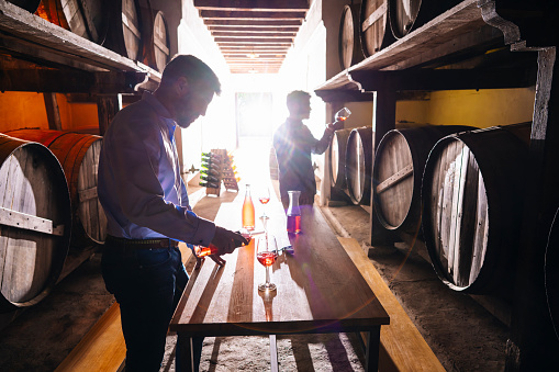 Winemakers wine tasting in oak barrels winery cellar