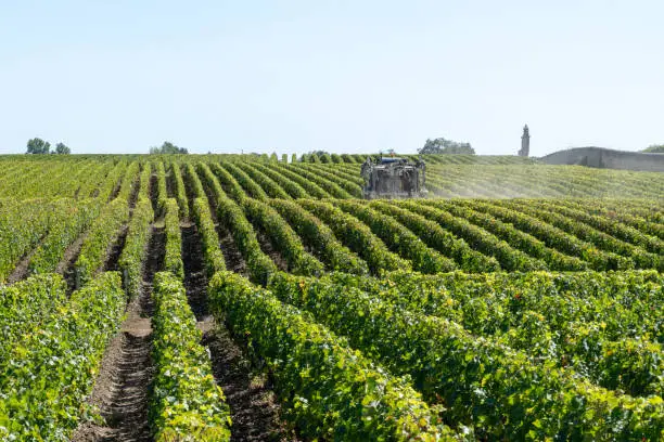 Vineyard landscape tractor spraying of grapevines in Margaux Medoc near Bordeaux France