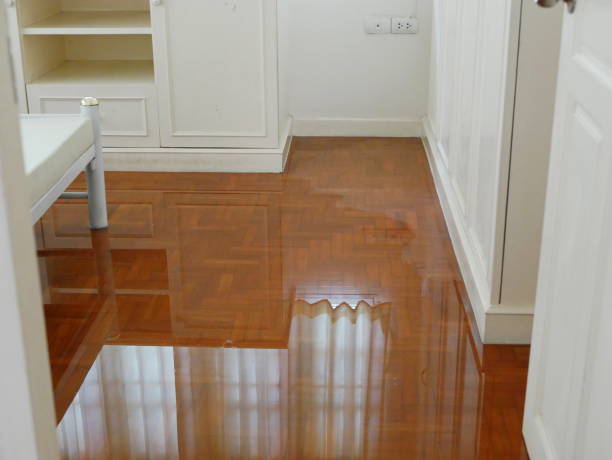 diffusione dell'acqua / allagamento sul pavimento del parquet della camera da letto in una casa - danni causati da perdite d'acqua - home interior sparse bedroom inside of foto e immagini stock