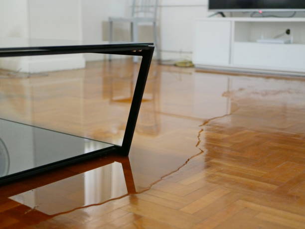 close up of water flooding on living room parquet floor in a house - damage caused by water leakage - home damage imagens e fotografias de stock