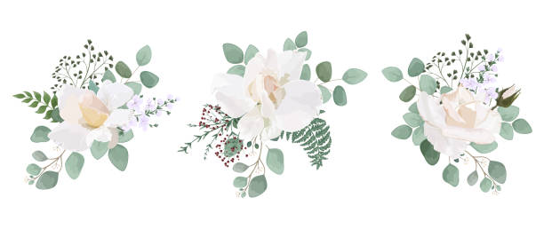白に隔離された葉や花、水彩画で花束を設定します。 - 4593点のイラスト素材／クリップアート素材／マンガ素材／アイコン素材