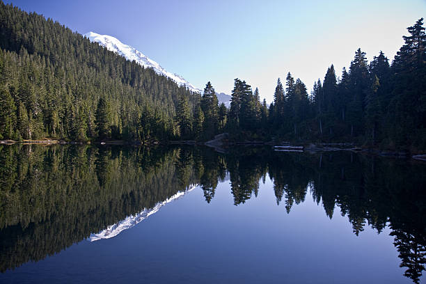 Reflection in a mountain lake stock photo