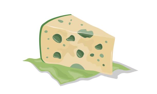숙성 된 치즈를 곰팡이로 익습니다. 로크포르트, 고르곤졸라, 스틸턴의 웨지, 그린 냅킨 - semi soft stock illustrations