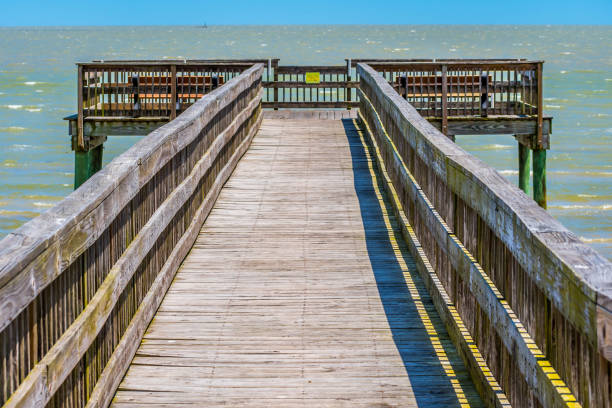 istock A very long boardwalk surrounded by shrubs in Aransas NWR, Texas 1174973064