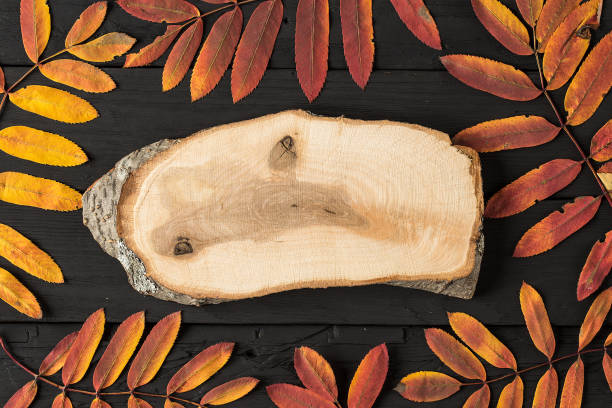 istock Colorful fall maple leaves on black wooden background 1174973953