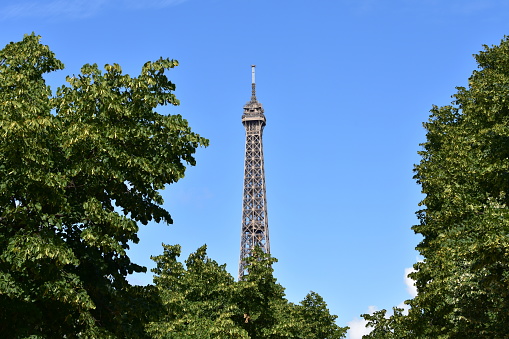 Paris, France. View of Eiffel Tower with blue sky and trees from Champ de Mars.