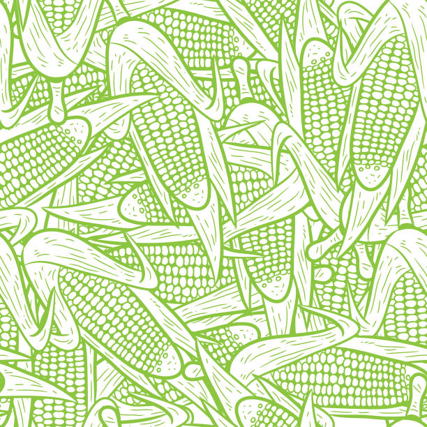 seamless corn pattern vector seamless corn pattern vector, hand drawing sweetcorn stock illustrations