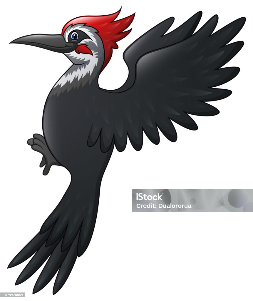 A Beautiful Woodpecker Bird Cartoon Stock Illustration - Download Image Now  - Abstract, Animal, Animal Wildlife - iStock