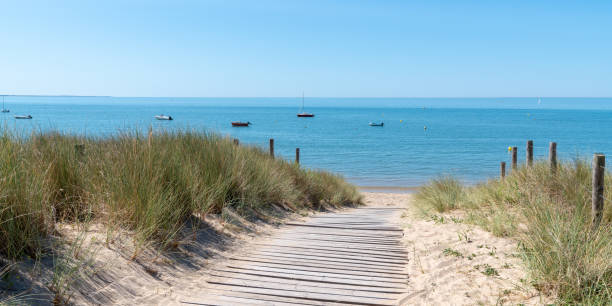 holzsteg führt zum strand noirmoutier in vendée france - vendee stock-fotos und bilder