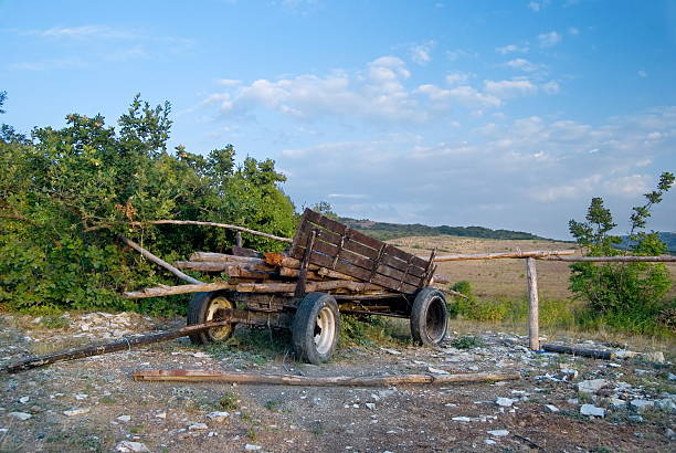 istock Old cart with fire wood 117498933