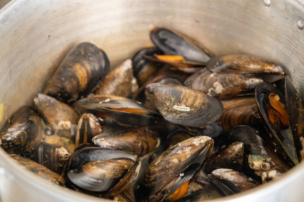 istock Mussels in copper pot 1174989467