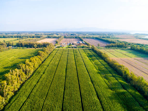 istock Photo of the sown fields from a quadrocopter 1174990844