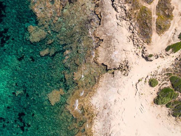istock Rocky coast and waves in Sardinia from above 1174991119