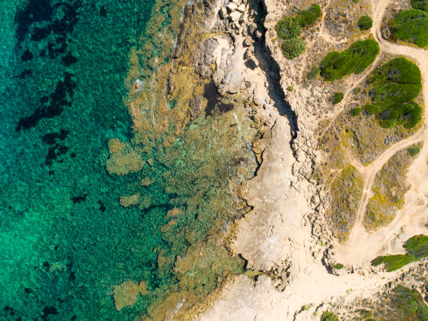 istock Rocky coast and waves in Sardinia from above 1174991217