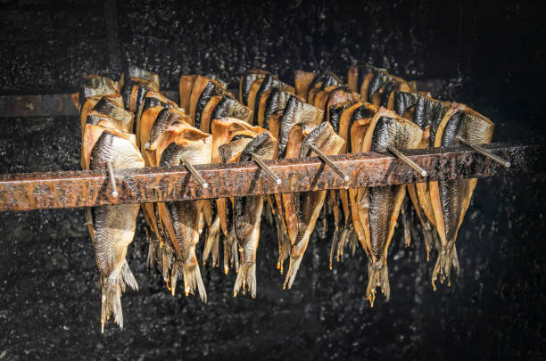 Smoking kipper A few dozen herring attaxhed to steel pins in the proces of being smoked in a traditional way inside a black box kipper stock pictures, royalty-free photos & images