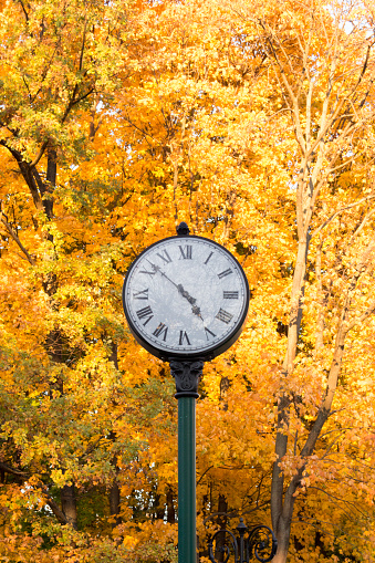 Watch in autumn Park on a background of yellow autumn leaves