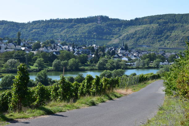 istock road through the vineyards, Mosel valley 1175000928