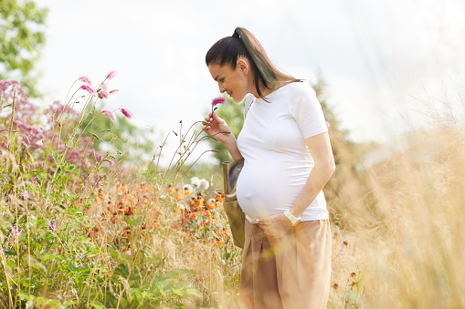 Young pregnant woman with dark hair smelling the flowers while standing in the field and enjoying the summer time
