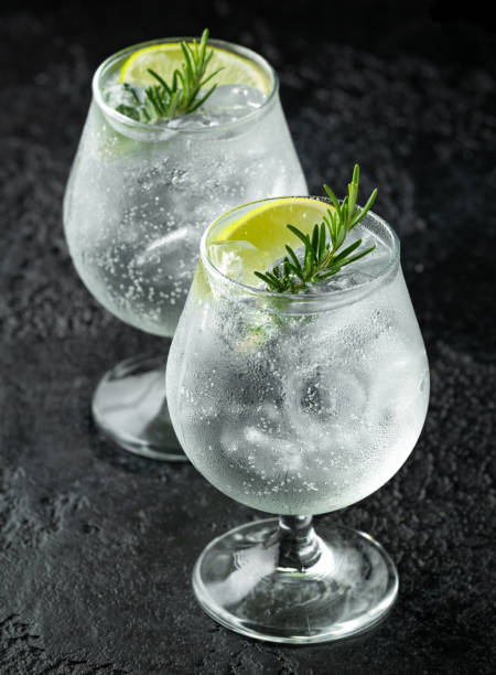 istock Gin and Tonic Alcohol drink with Lime, Rosemary and ice on rustic black table 1175004249