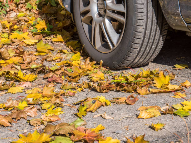 istock Grip on the road in autumn background 1175005056
