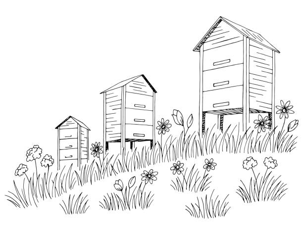 ilustrações de stock, clip art, desenhos animados e ícones de apiary graphic black white landscape sketch illustration vector - field image computer graphic bee