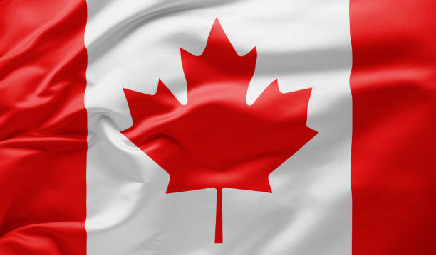istock Waving national flag of Canada 1175008801