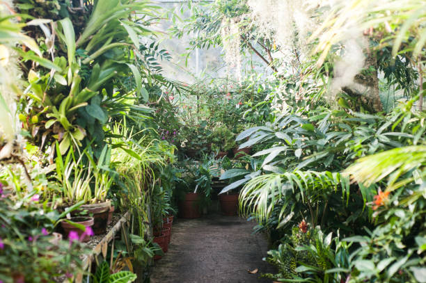 istock University of Bristol Botanic Garden 1175009443