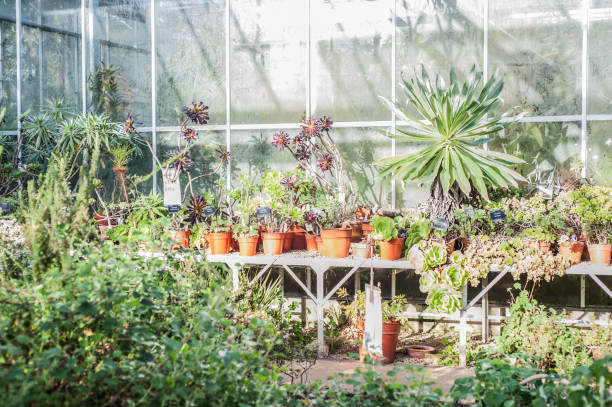 istock University of Bristol Botanic Garden 1175009510