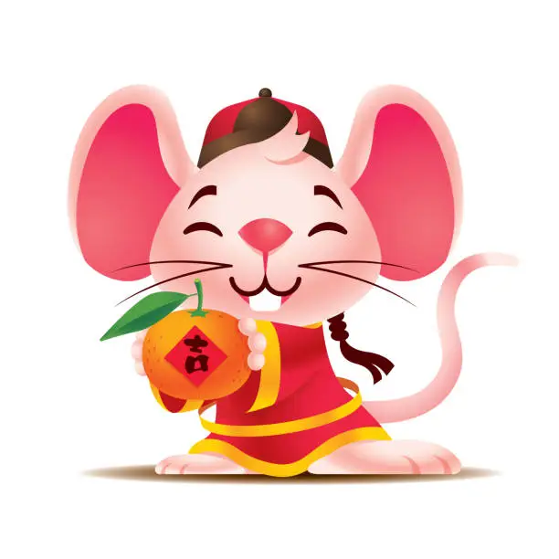 Vector illustration of Cartoon cute white rat with big ears wears traditional Chinese jacket hodling big chinese mandarin. Rat Chinese New Year 2020. The year of rat/mice/mouse. Translation: Lucky - Vector mascot