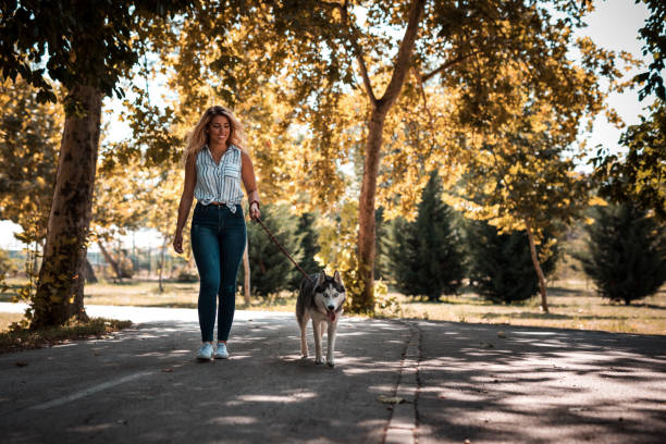 istock Lady walking with best friend 1175014263